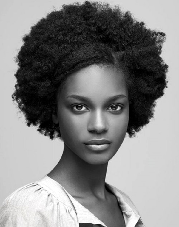 Natural Hairstyles for Black Women (17)