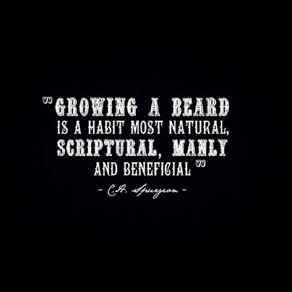 Manly Beard Quotes And Sayings (22)