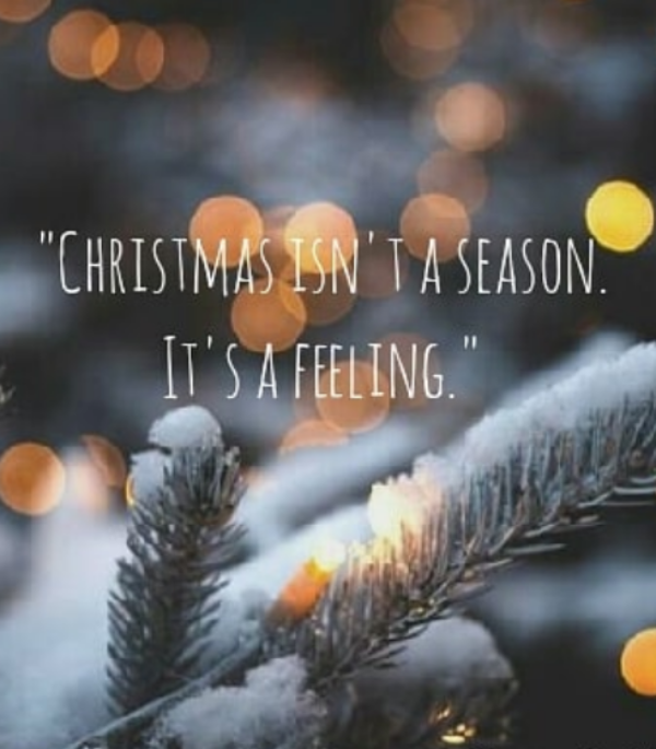 40 Meaningful Christmas Wishes and Quotes with Love (Images)