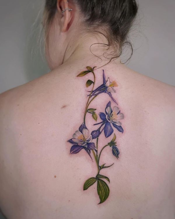 Colorado Columbine Flower Tattoo